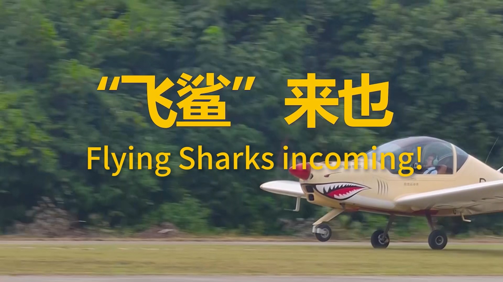 Flying Sharks incoming!——STARAIR Aircraft Customer Interview